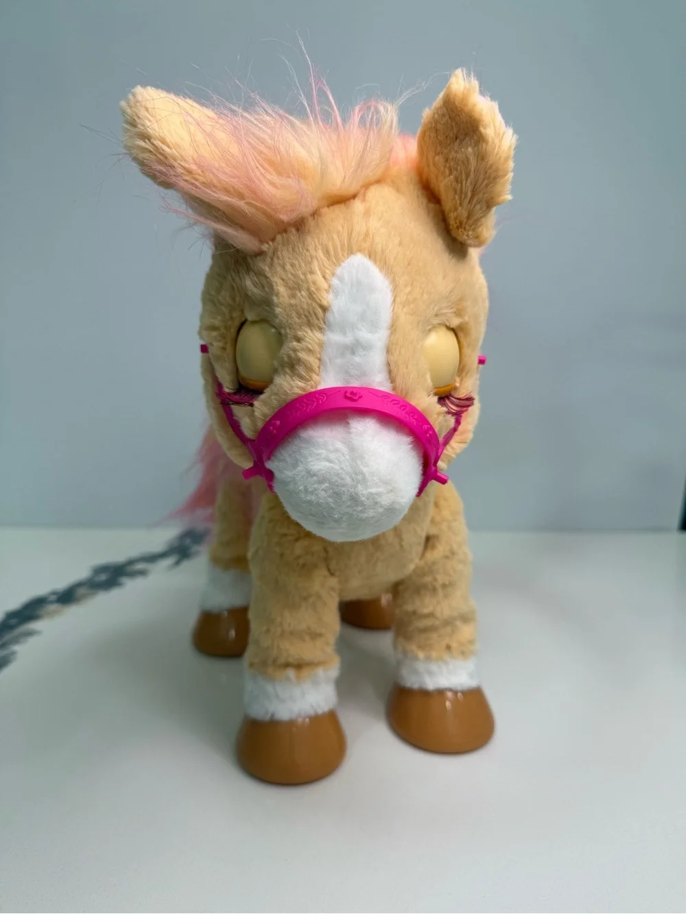 Furreal cinnamon my